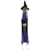 Haunted Hill Farm HHWITCH-39HLS - 9
